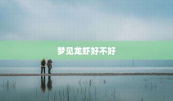 梦见龙虾好不好