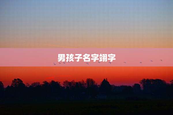 男孩子名字翊字