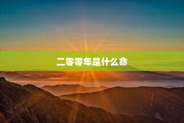 二零零年是什么命