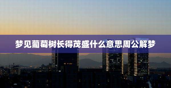 梦见葡萄树长得茂盛什么意思周公解梦