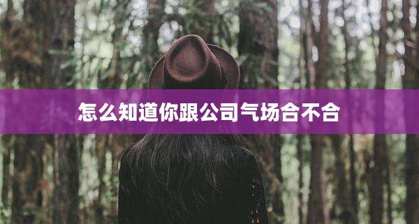 怎么知道你跟公司气场合不合