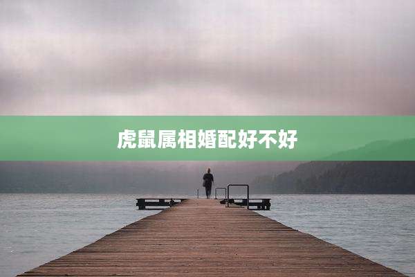 虎鼠属相婚配好不好