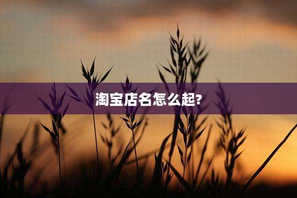 淘宝店名怎么起?