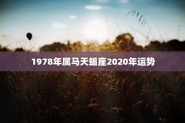 1978年属马天蝎座2020年运势