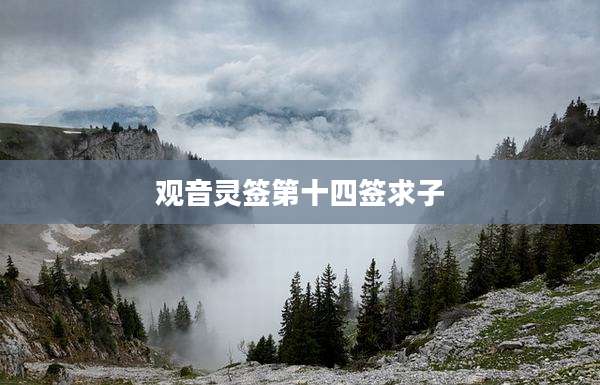 观音灵签第十四签求子
