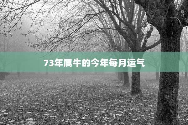73年属牛的今年每月运气
