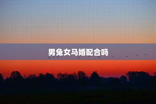 男兔女马婚配合吗