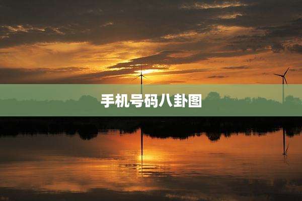 手机号码八卦图