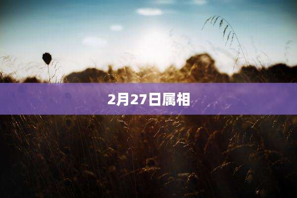 2月27日属相