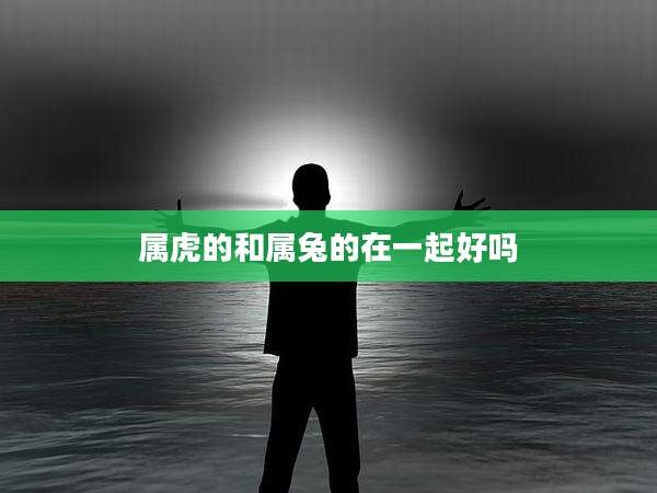 属虎的和属兔的在一起好吗