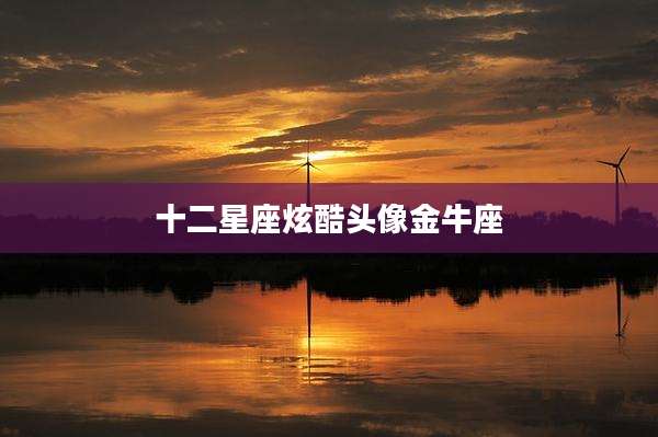 十二星座炫酷头像金牛座