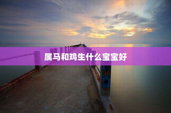 属马和鸡生什么宝宝好