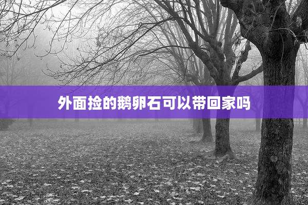 外面捡的鹅卵石可以带回家吗
