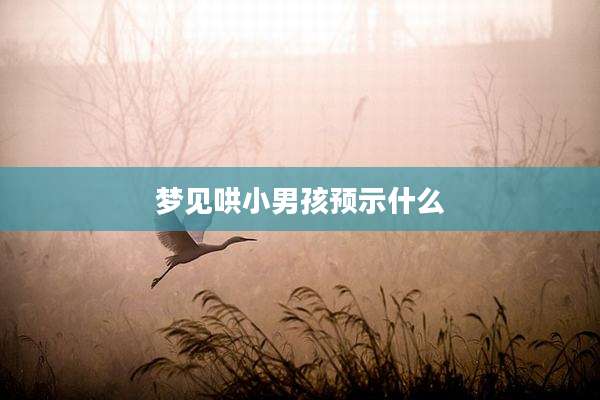 梦见哄小男孩预示什么