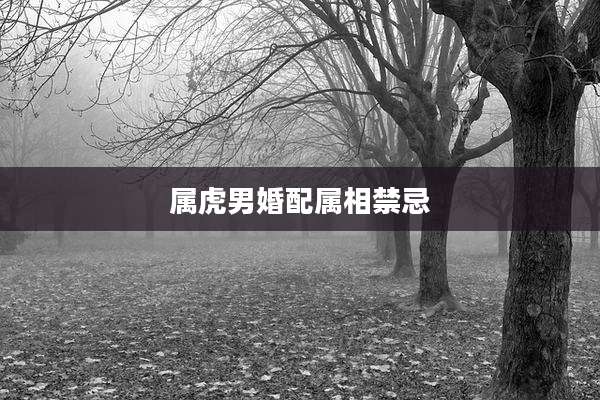 属虎男婚配属相禁忌