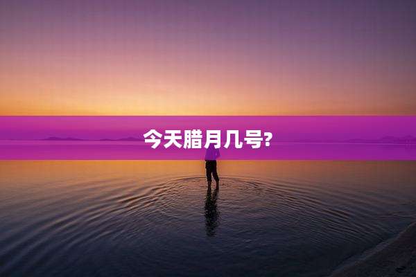 今天腊月几号?