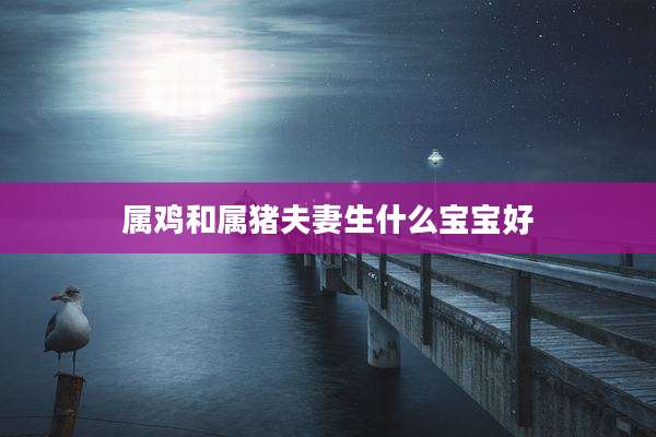 属鸡和属猪夫妻生什么宝宝好