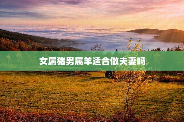 女属猪男属羊适合做夫妻吗