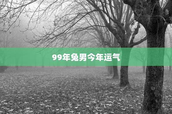 99年兔男今年运气