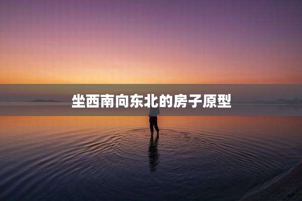 坐西南向东北的房子原型