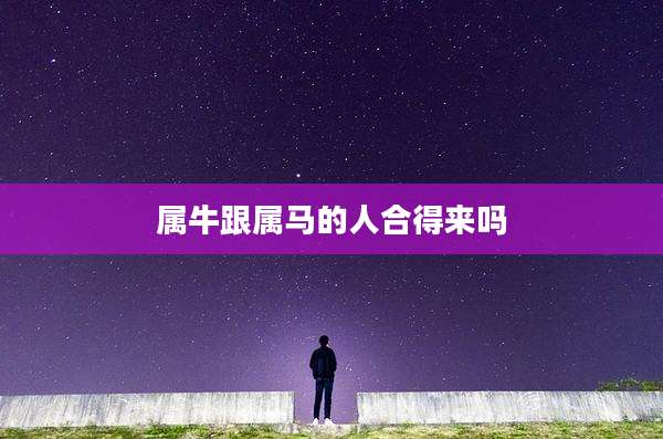 属牛跟属马的人合得来吗