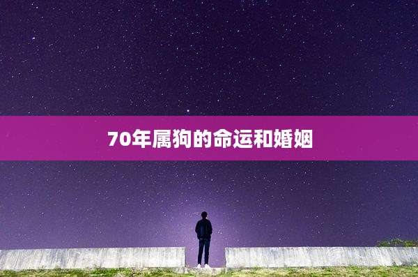 70年属狗的命运和婚姻
