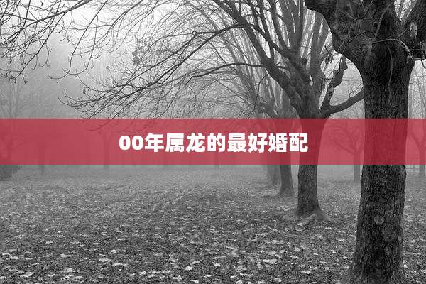 00年属龙的最好婚配