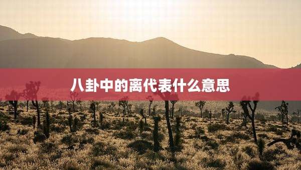 八卦中的离代表什么意思