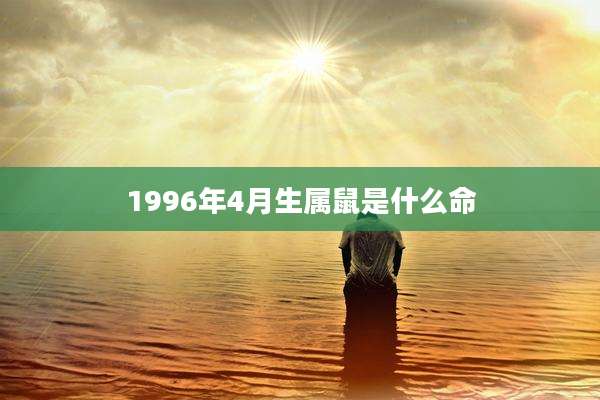 1996年4月生属鼠是什么命