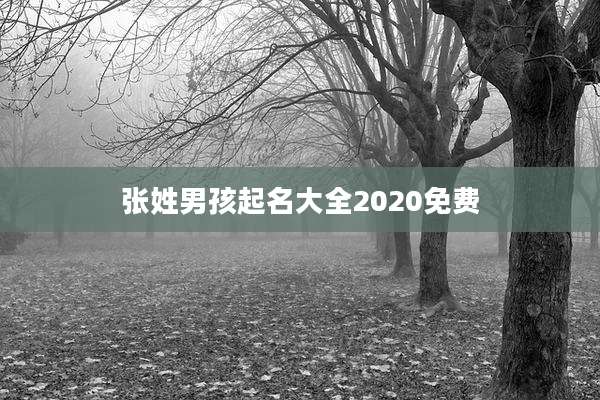 张姓男孩起名大全2020免费