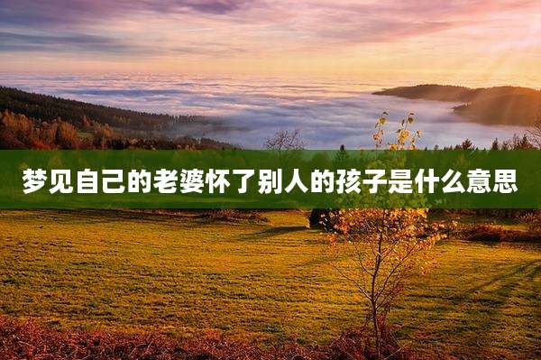 梦见自己的老婆怀了别人的孩子是什么意思