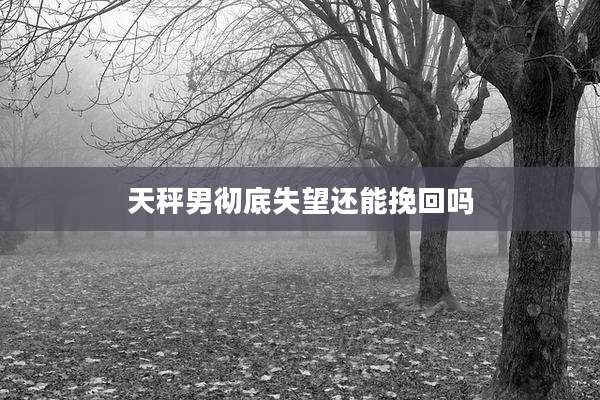 天秤男彻底失望还能挽回吗