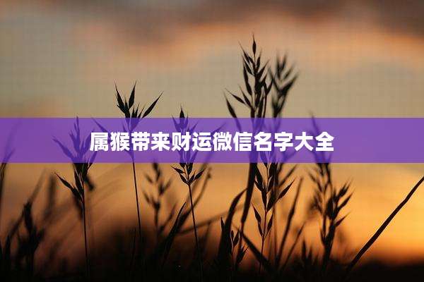 属猴带来财运微信名字大全