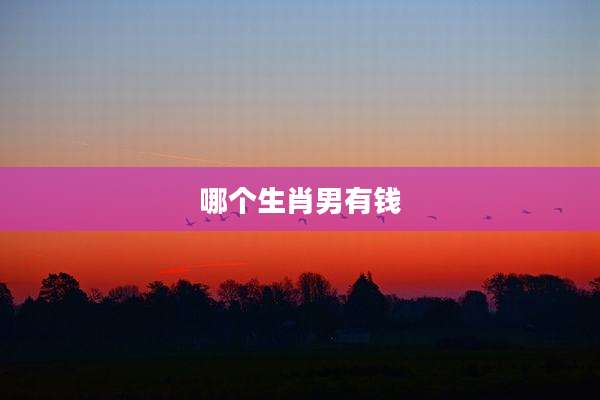 哪个生肖男有钱
