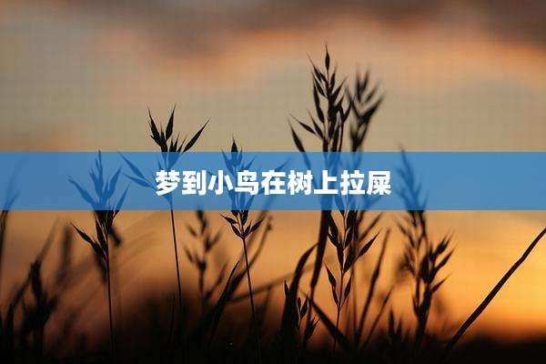 梦到小鸟在树上拉屎