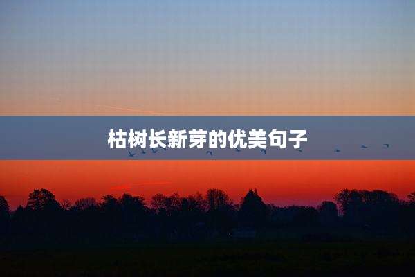 枯树长新芽的优美句子