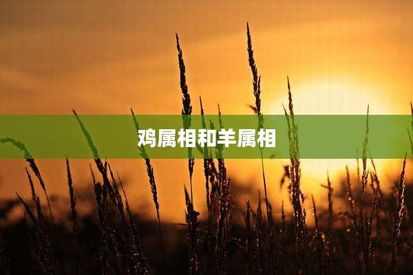 鸡属相和羊属相