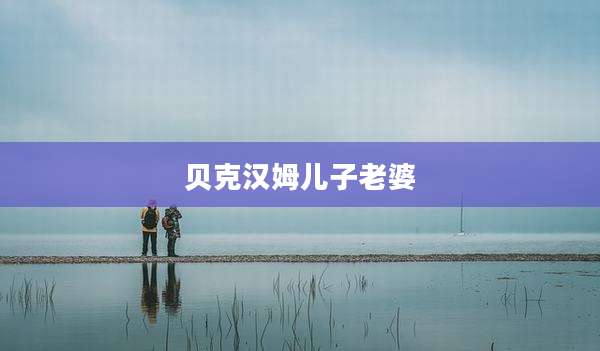 贝克汉姆儿子老婆