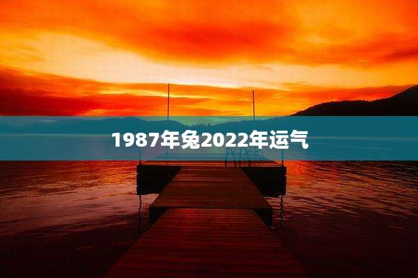 1987年兔2022年运气