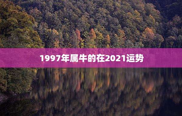 1997年属牛的在2021运势