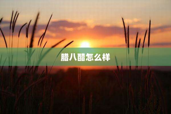 腊八醋怎么样