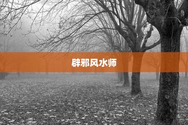 辟邪风水师
