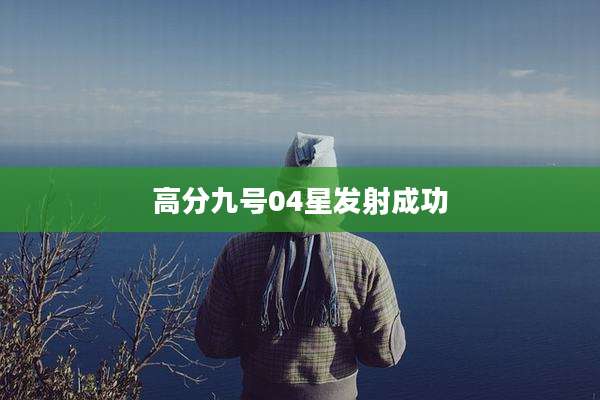 高分九号04星发射成功