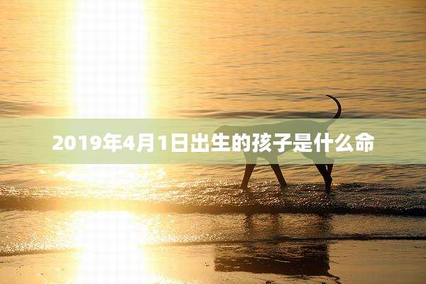 2019年4月1日出生的孩子是什么命