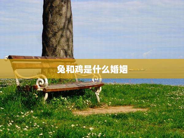 兔和鸡是什么婚姻