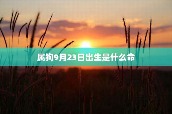 属狗9月23日出生是什么命