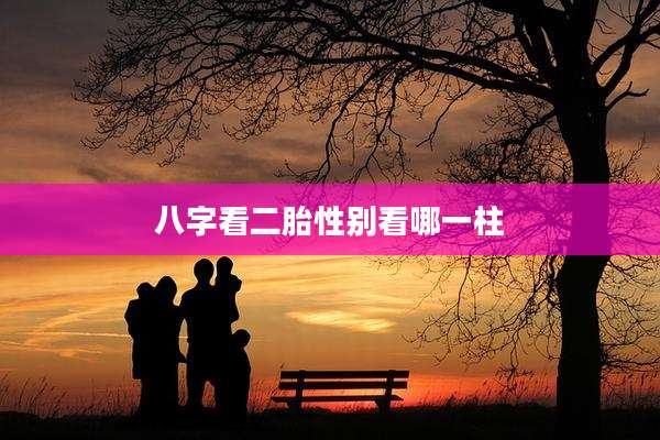 八字看二胎性别看哪一柱
