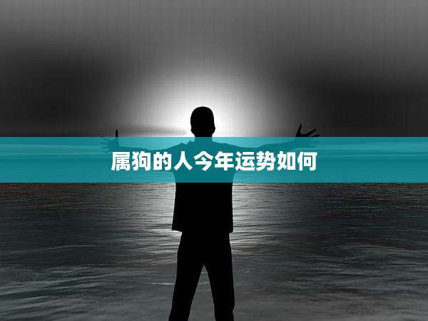 属狗的人今年运势如何