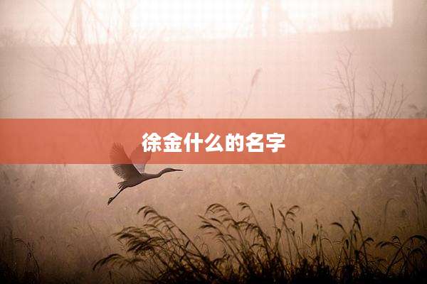 徐金什么的名字
