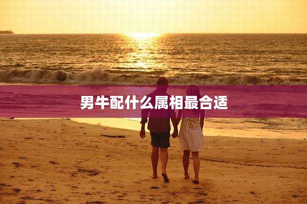 男牛配什么属相最合适